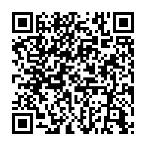 QR code for EIS 971