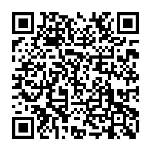 QR code for EIU 382