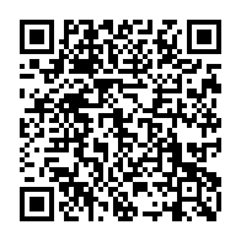 QR code for EMV 803