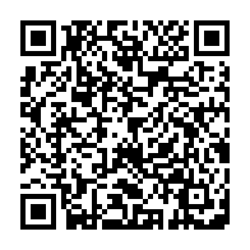 QR code for plate ERU 305