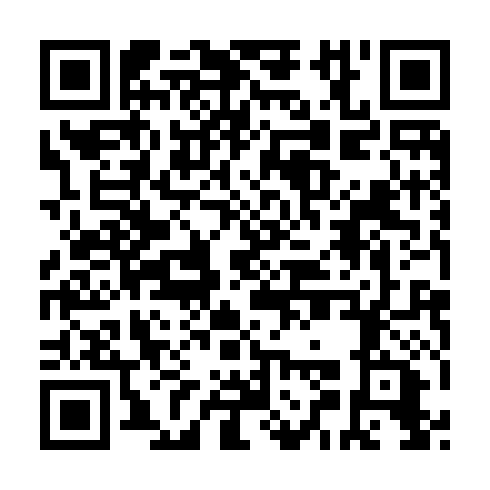 QR code for FEI 117