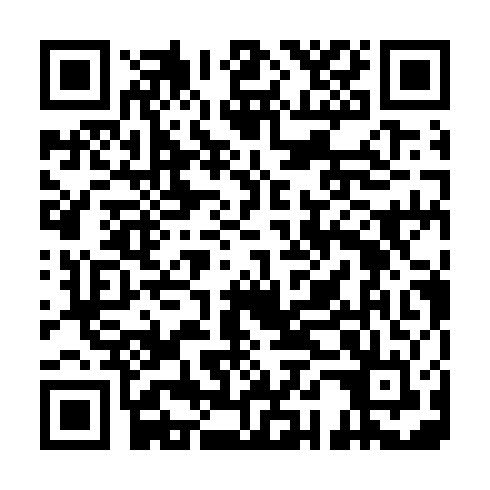 QR code for FEI141