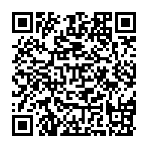 QR code for FFZ 370