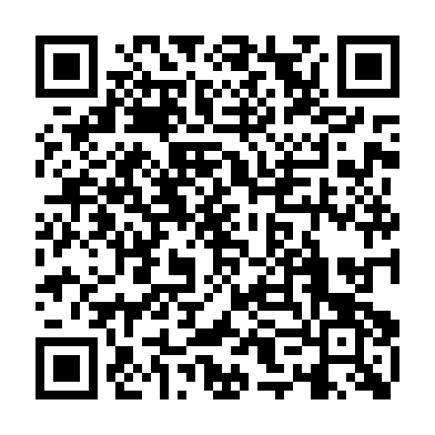 QR code for plate FHV 234
