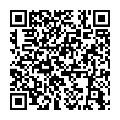 QR code for FII 291