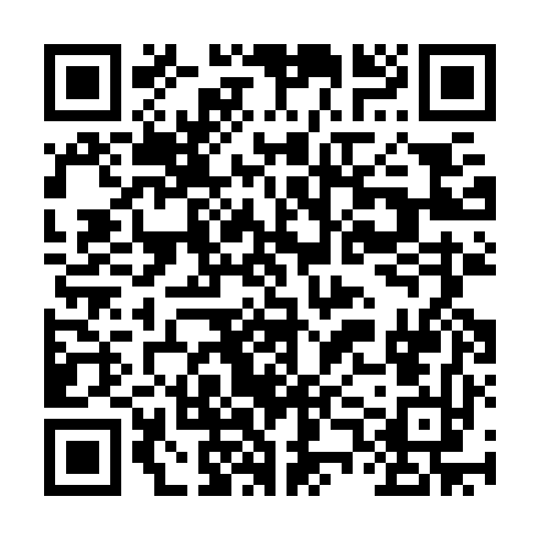 QR code for FIO382