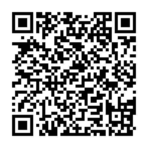 QR code for FLN 993