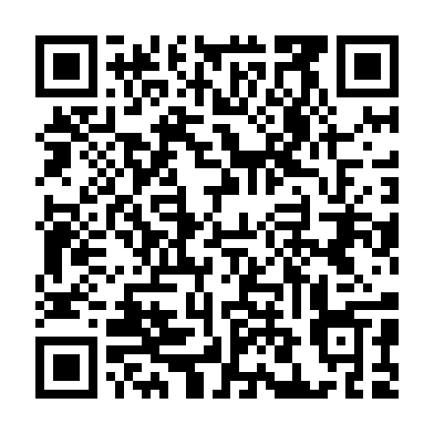 QR code for FLU 599