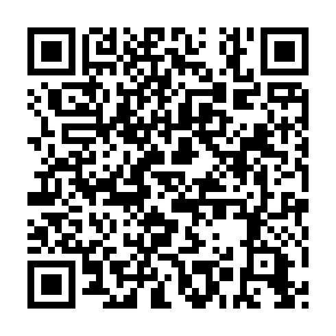 QR code for FMT 296