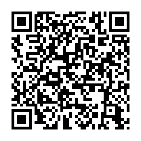 QR code for FMV 991