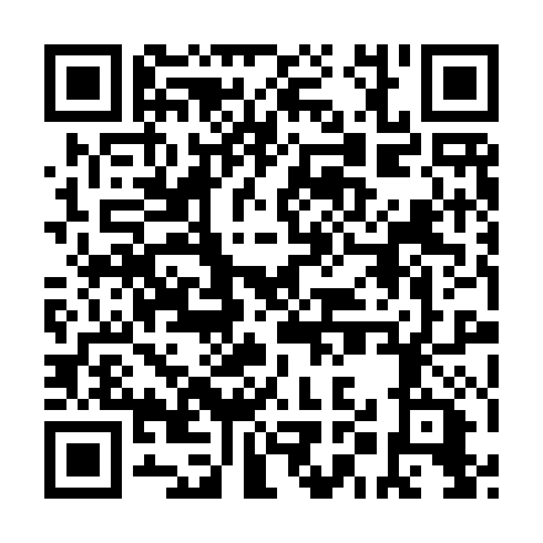 QR code for plate FMX 541