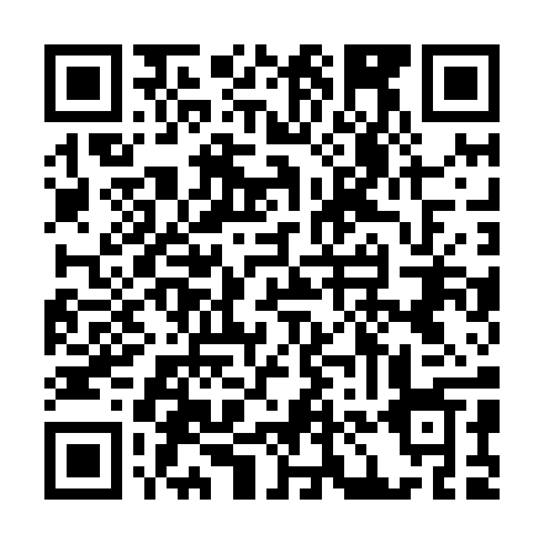 QR code for plate FPT 381