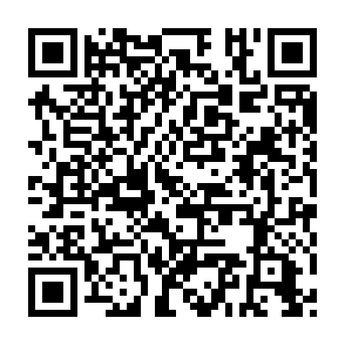 QR code for FRI393