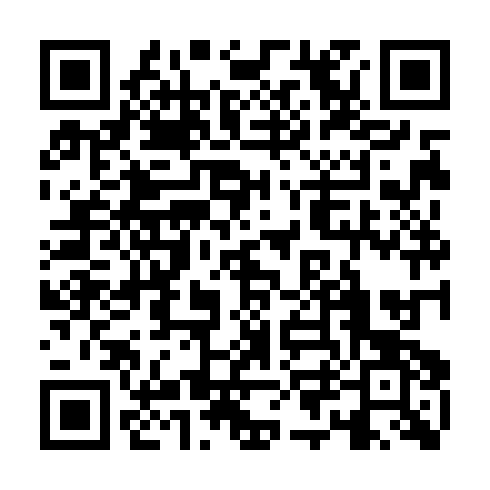 QR code for plate FSE 333