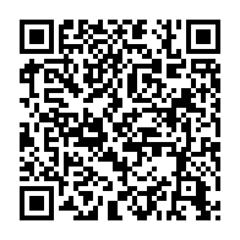QR code for FZT 411