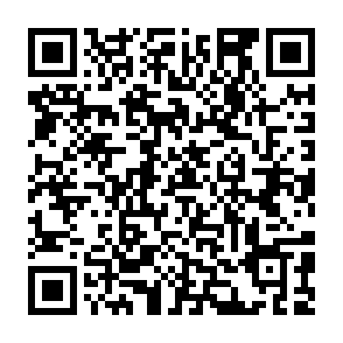 QR code for FZX 295