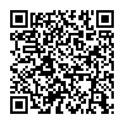 QR code for FZZ 919