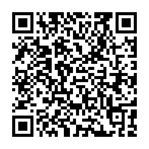 QR code for plate GAG 516