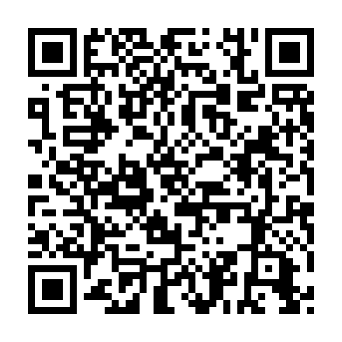 QR code for GBM 511