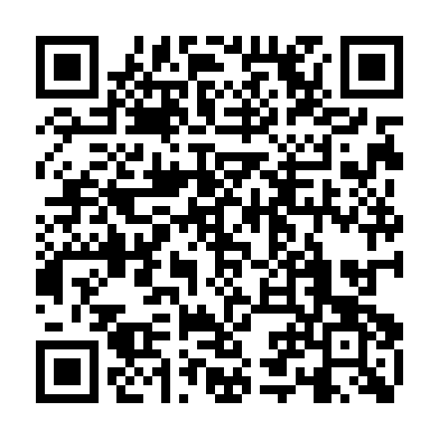 QR code for GCM 313