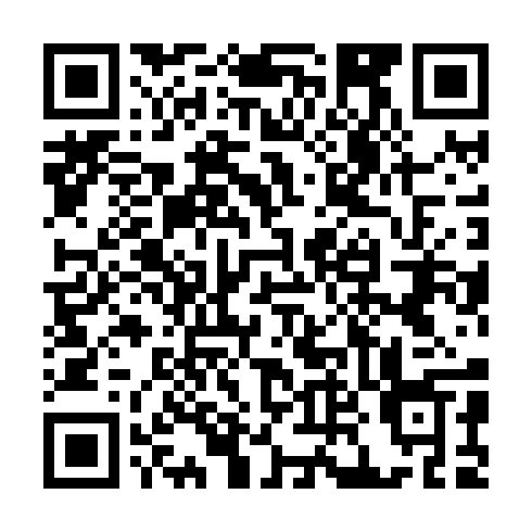 QR code for plate GEL 398