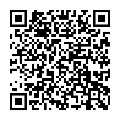 QR code for plate GFV 863
