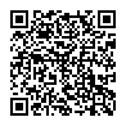 QR code for plate GIN 228