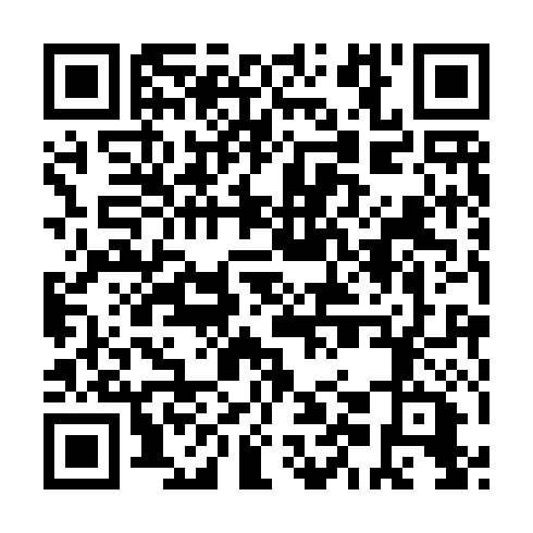 QR code for GOO 991