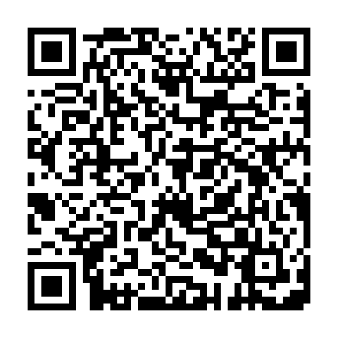 QR code for GPT 488