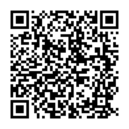 QR code for GUN 938