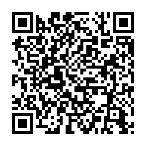 QR code for GWX 493