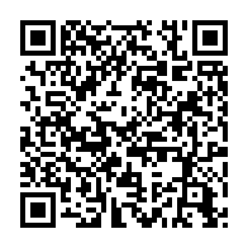 QR code for GYZ 541