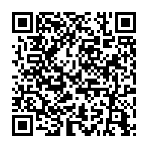 QR code for plate HHD 541
