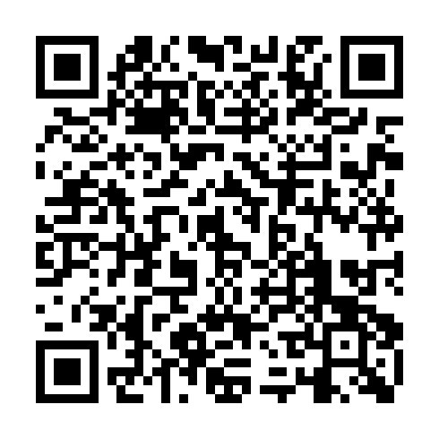 QR code for HIS 987