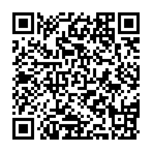 QR code for plate HJG 384