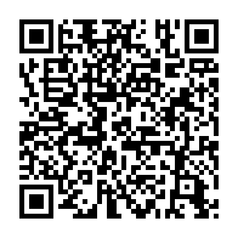 QR code for plate HKU 310