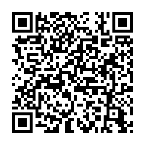QR code for plate HMG 685