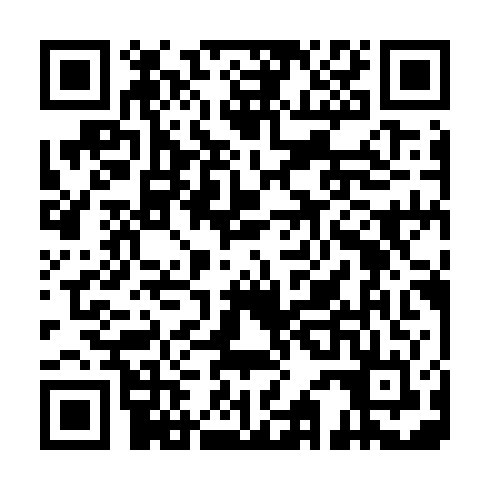 QR code for plate HNE 298