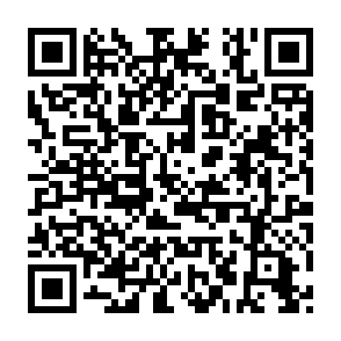 QR code for plate HNY 202