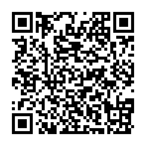 QR code for plate HOY 113