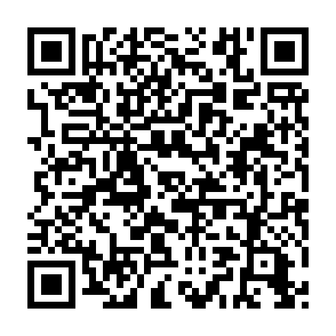 QR code for plate HPK 919