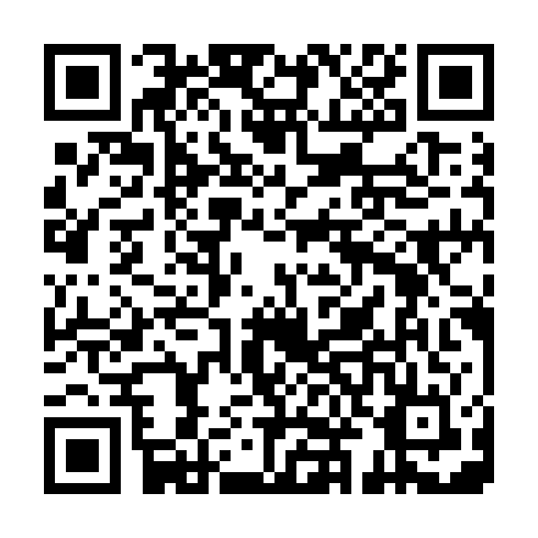 QR code for plate HQP 295