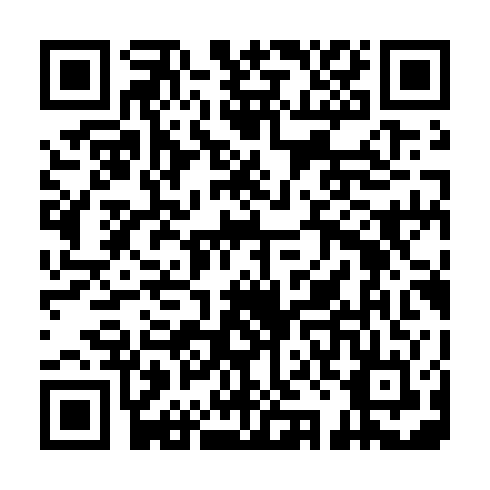 QR code for HSR313
