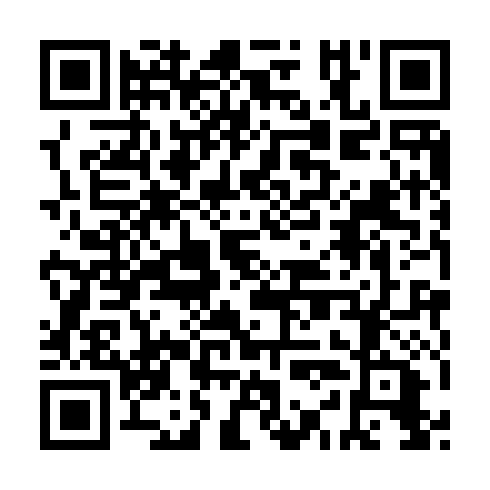 QR code for HYI 393