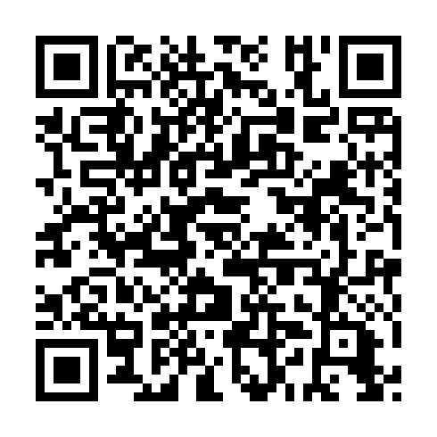 QR code for HYN396