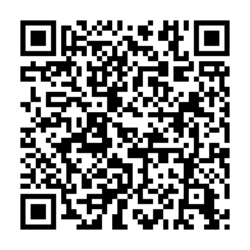 QR code for HZZ 919
