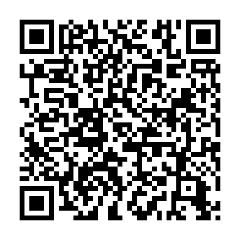 QR code for IAF 919