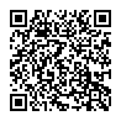 QR code for IAP133