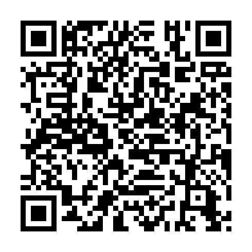 QR code for IAU 330