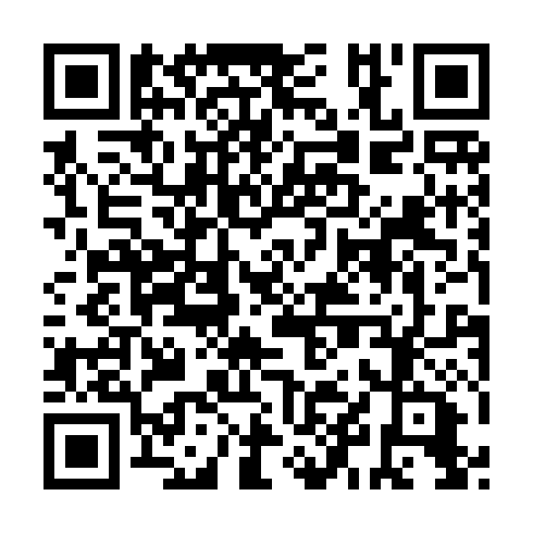 QR code for IBV 325
